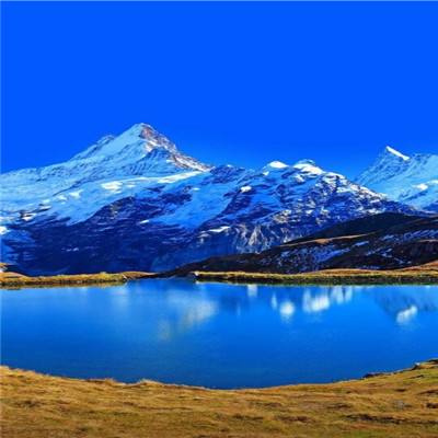 KOKapp手机app下载